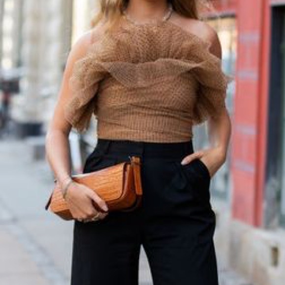 Zara Tulle Strapless Crop Top - Picture 7 of 7